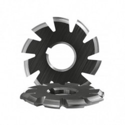 Frez modułowy krążkowy NFMa m4.5 17/20 HSS