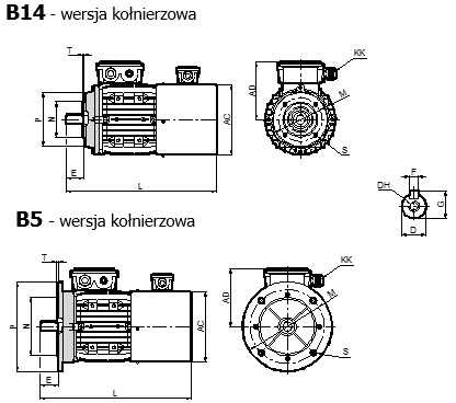 Silnik 2.2-900-160/28-G / chłodzenie obce - rysunek techniczny