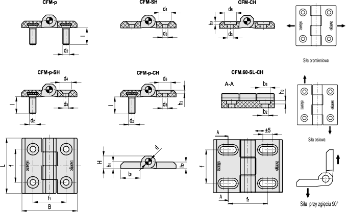 Zawias CFM.40 p-M5x12-CH-5 - rysunek techniczny
