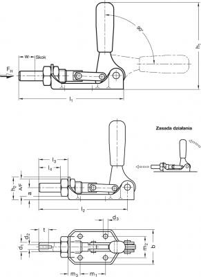 Napinacz suwakowy GN 841-300-AS - pchające - rysunek techniczny