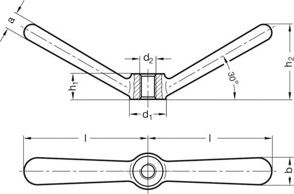Dźwignia zaciskowa z dwoma ramionami GN 206.1-40-M20 - Żeliwo ciągliwe - rysunek techniczny