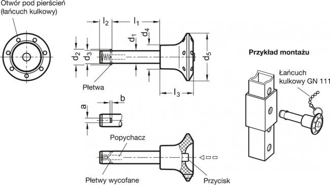 Trzpień montażowy GN 114.2-10-45 - z blokadą osiową płetwy - rysunek techniczny