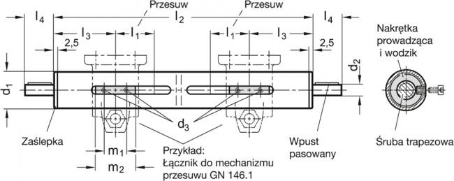 Mechanizm przesuwu GN 293-30-100-LL2-SCR - rysunek techniczny